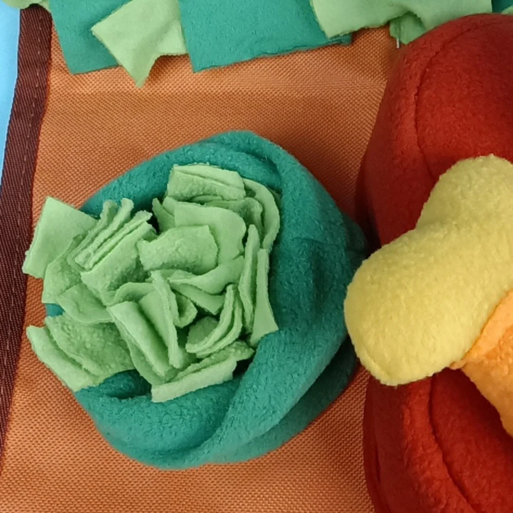 Colorful Play Mat for Dogs
